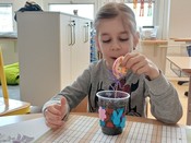 tn_obrazek_22377.jfif