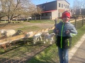 tn_obrazek_22392.jfif