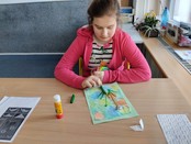 tn_obrazek_22418.jfif