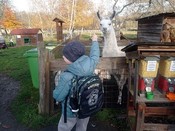 tn_obrazek_22445.jfif