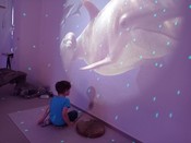 tn_obrazek_22458.jfif