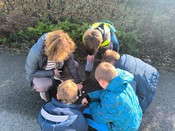 tn_obrazek_22556.jfif